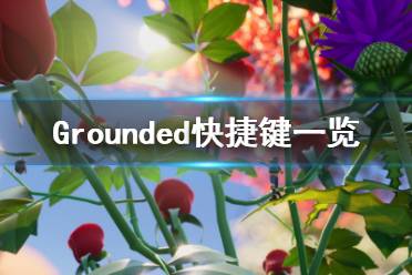 《Grounded》快捷键有哪些 快捷键一览