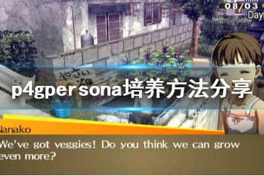 《女神异闻录4黄金版》Persona怎么培养 Persona培养方法分享
