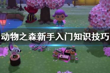 《集合啦动物森友会》怎么入门 新手入门知识技巧分享