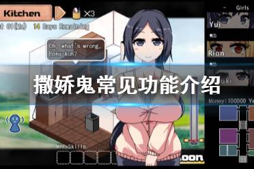 《夏日狂想曲乡间的难忘回忆》常见功能有什么用 常见功能介绍