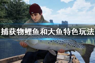 《捕获物鲤鱼和大鱼》好玩吗？特色玩法内容介绍