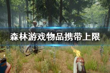 《森林》物品携带上限是多少 物品携带上限一览