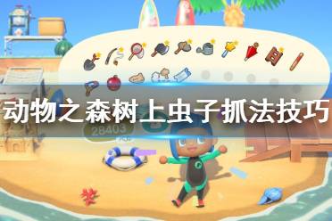 《集合啦动物森友会》树上虫子怎么抓？树上虫子抓法技巧