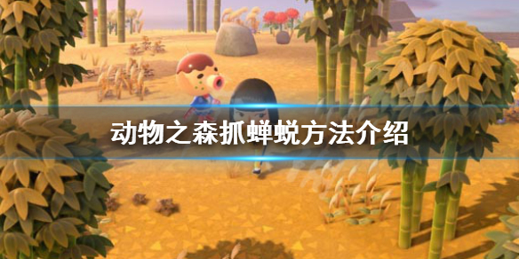 游侠网