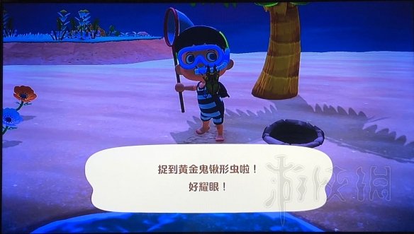 游侠网