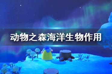 《集合啦动物森友会》海洋生物有什么用 海洋生物作用介绍