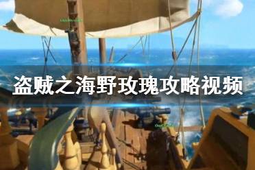 《盗贼之海》野玫瑰攻略视频合集 野玫瑰任务怎么完成？