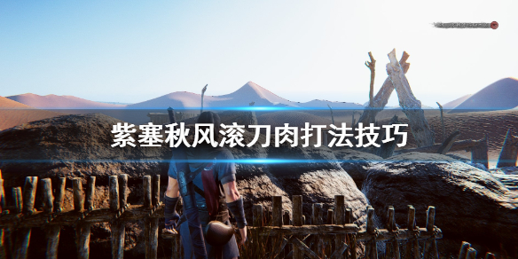 游侠网
