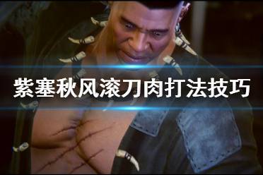 《紫塞秋风》滚刀肉怎么打？滚刀肉打法技巧