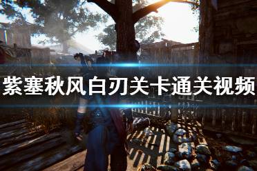《紫塞秋风》白刃关卡通关视频攻略 第十三章白刃怎么通关?