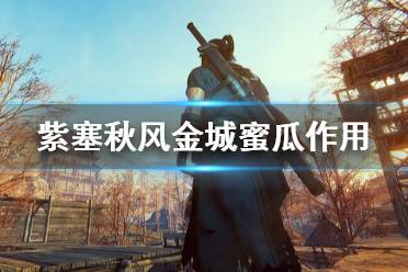《紫塞秋风》金城蜜瓜有什么用 金城蜜瓜作用介绍