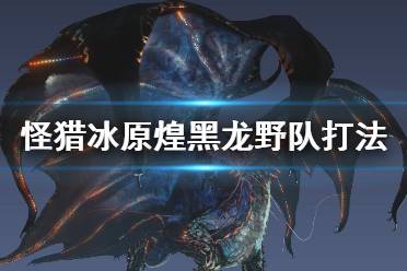 《怪物猎人世界冰原》煌黑龙野队怎么打 煌黑龙野队打法技巧介