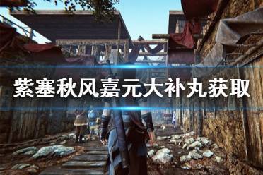 《紫塞秋风》嘉元大补丸怎么获得 嘉元大补丸获取方法介绍