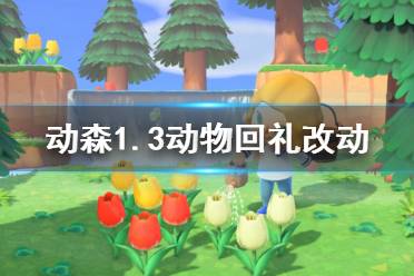 《集合啦动物森友会》1.3村民回礼有什么改动 1.3动物回礼改动一览