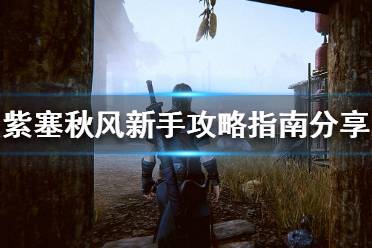 《紫塞秋风》新手怎么玩 新手攻略指南分享