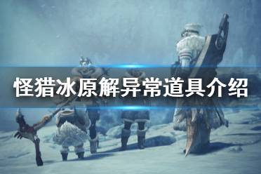 《怪物猎人世界冰原》解异常道具有哪些 解异常道具介绍