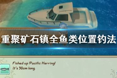 《牧场物语再会矿石镇》鱼在哪钓 全鱼类位置钓法分享