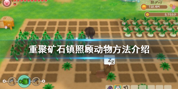 游侠网
