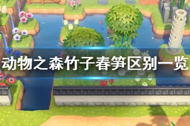 《集合啦动物森友会》竹子和春笋有什么区别 竹子春笋区别介绍