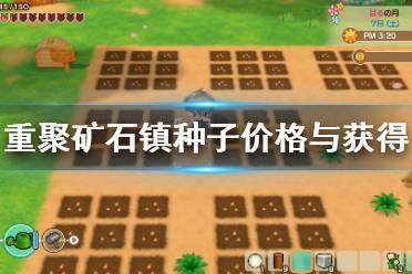 《牧场物语再会矿石镇》种子哪里买？种子价格与获得方法汇总