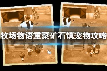 《牧场物语再会矿石镇》宠物训练度怎么提升？宠物攻略全介绍