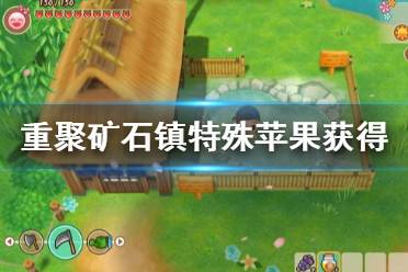 《牧场物语再会矿石镇》特殊苹果怎么获得 特殊苹果获得方法一览