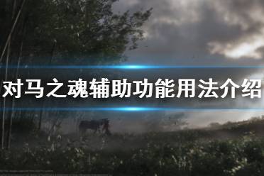 《对马岛之魂》辅助功能有什么 辅助功能用法介绍