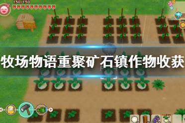 《牧场物语再会矿石镇》作物收获时间一览 全作物属性及获得方法介绍