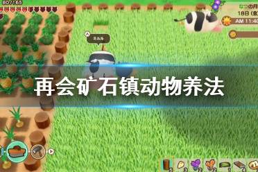 《牧场物语重聚矿石镇》动物怎么养 动物养法分享
