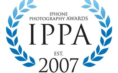 IPPA2020摄影大赛获奖名单公布 20位中国摄影师获奖