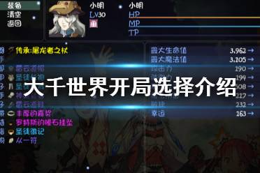 《大千世界》开局选项怎么选 游戏开局选择介绍