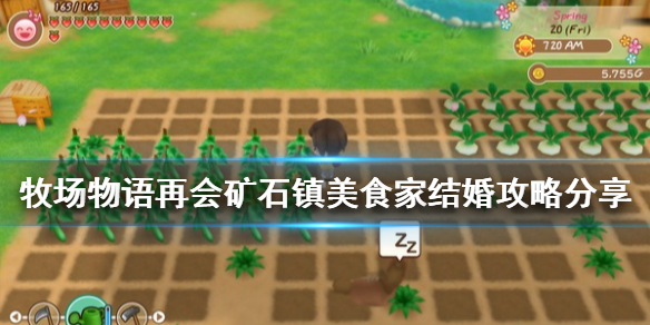 游侠网