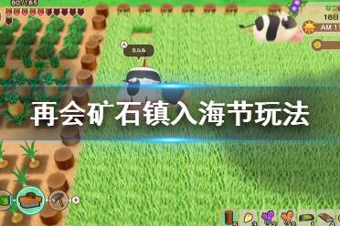 《牧场物语重聚矿石镇》入海节怎么玩 入海节玩法一览