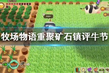 《牧场物语重聚矿石镇》评牛节玩法一览 评牛节怎么玩