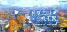 神秘白蝶离奇消失,倩女幽魂迎来新玄机