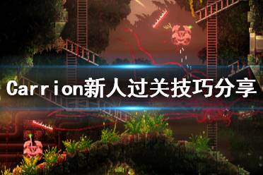 《红怪》新人怎么玩 Carrion新人过关技巧分享