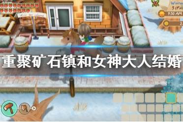 《牧场物语再会矿石镇》怎么和女神结婚 和女神大人结婚方法介绍