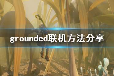 《禁闭求生》怎么多人游戏 Grounded联机方法分享