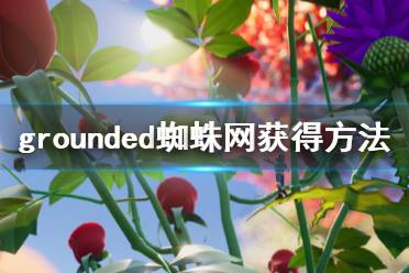 《禁闭求生》蜘蛛网怎么获得 grounded蜘蛛网获得方法介绍