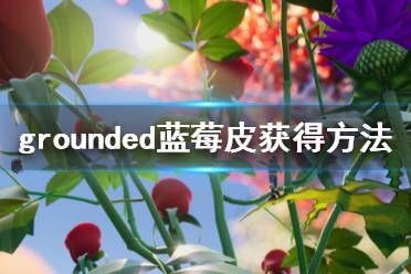 《禁闭求生》蓝莓皮怎么获得 grounded蓝莓皮获得方法一览
