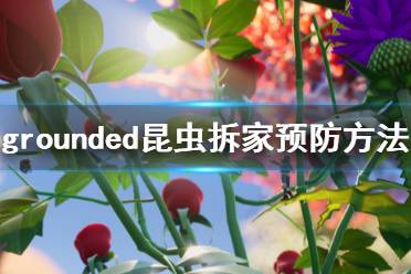 《禁闭求生》昆虫拆家怎么办 grounded昆虫拆家预防方法一览