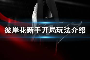 《彼岸花》新手怎么开局 Othercide新手开局思路介绍