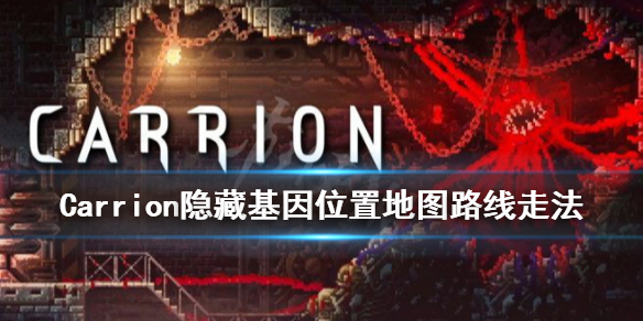 游侠网