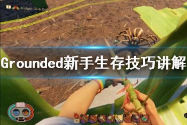 《禁闭求生》新手攻略视频合集 Grounded新手生存技巧讲解