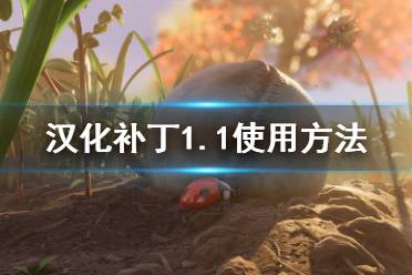 《禁闭求生》汉化补丁1.1怎么用 Grounded汉化补丁1.1使用方法