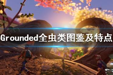 《禁闭求生》虫类有哪些？Grounded全虫类图鉴及特点汇总