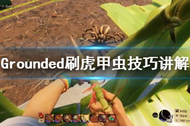 《禁闭求生》虎甲虫怎么刷？Grounded刷虎甲虫技巧讲解