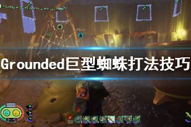《禁闭求生》巨型蜘蛛怎么打？巨型蜘蛛打法技巧