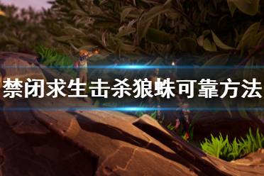 《禁闭求生》击杀狼蛛可靠方法介绍 击杀狼蛛有什么技巧？