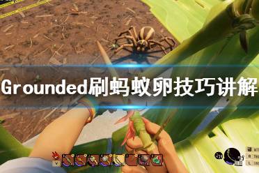 《禁闭求生》蚂蚁卵怎么刷？Grounded刷蚂蚁卵技巧讲解